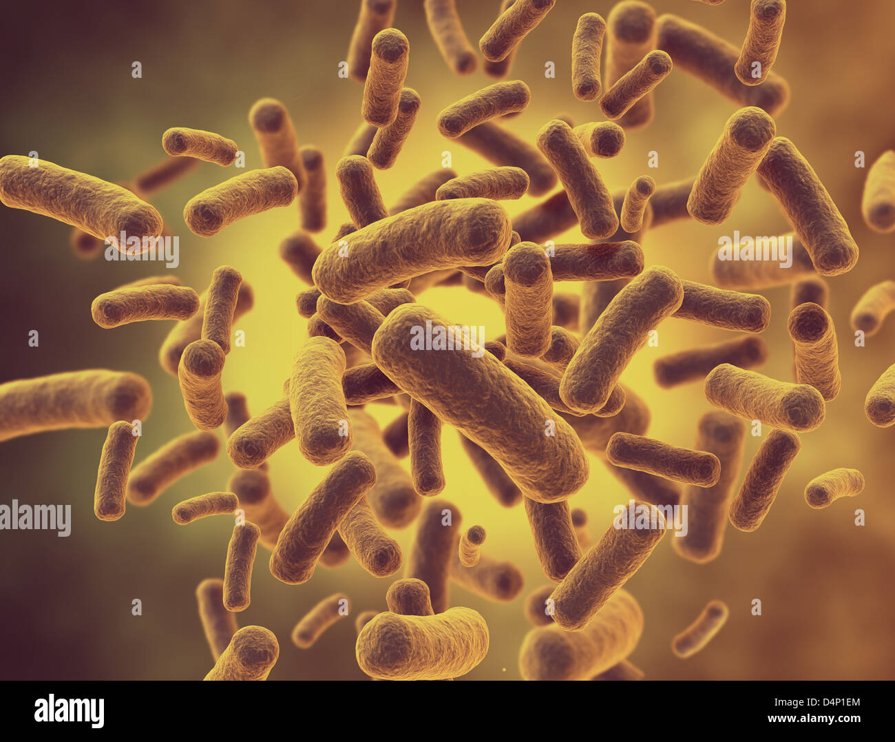 Лактобациллы микробиология полости рта. Бактерии разлагающие пластик. Выживают ли бактерии. Выживают ли бактерии. Бактерии которые перерабатывают пластик.