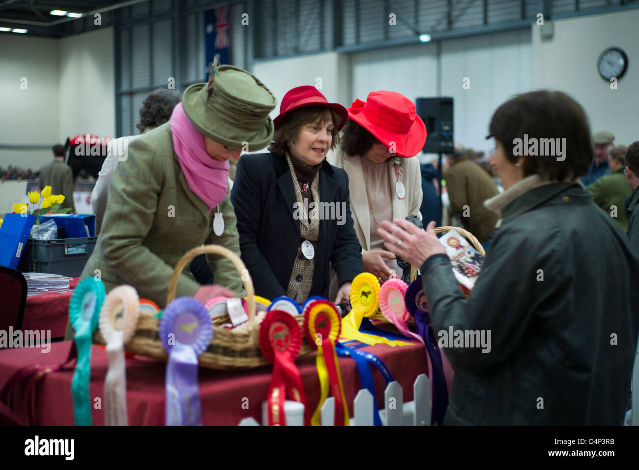 Shire Horse Society Spring Show, Peterborough, England, March 2013. Ladies sort the Rosettes for the winning horses at the show. Stock Photo