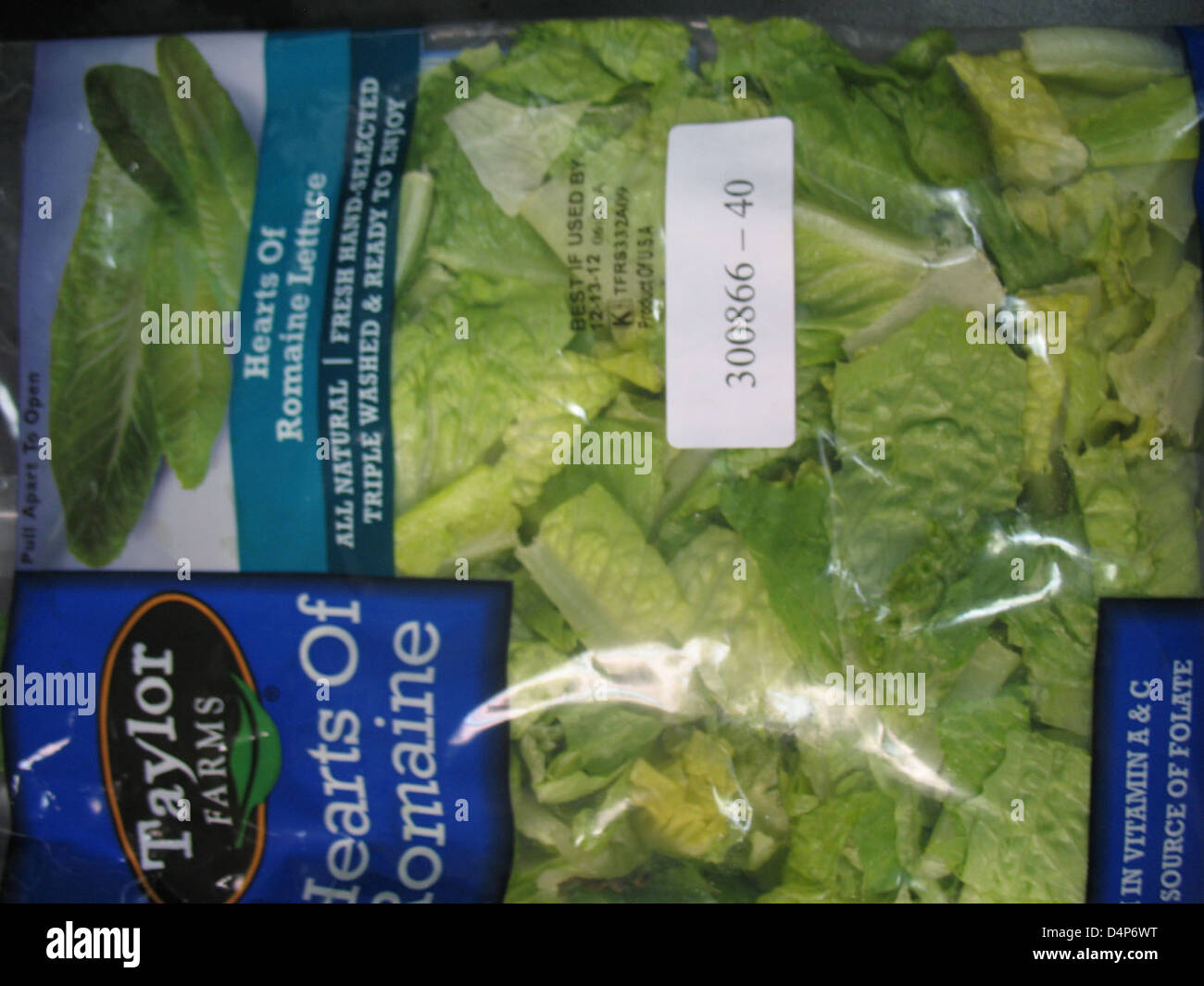 RECALLED Romaine Lettuce Stock Photo Alamy