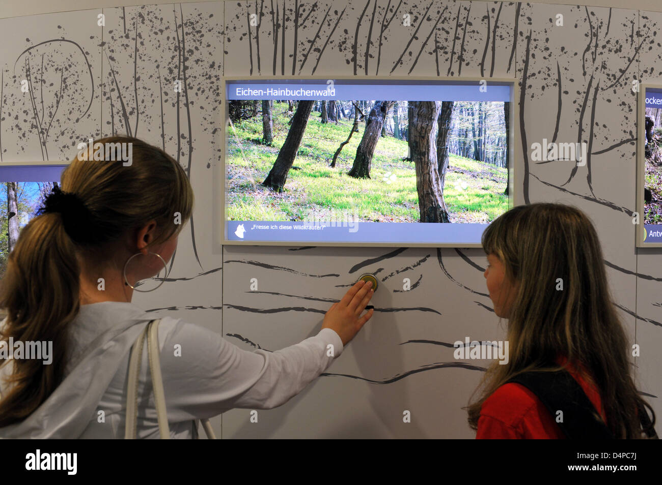 Two pupils use an interactive flat screen display at the information and education centre of Kellerwald-Edersee national park in Herzhausen, Germany, 08 May 2009. An exhibition using both electronic and traditional display techniques gives an insight into the park?s fauna and flora. Photo: Uwe Zucchi Stock Photo
