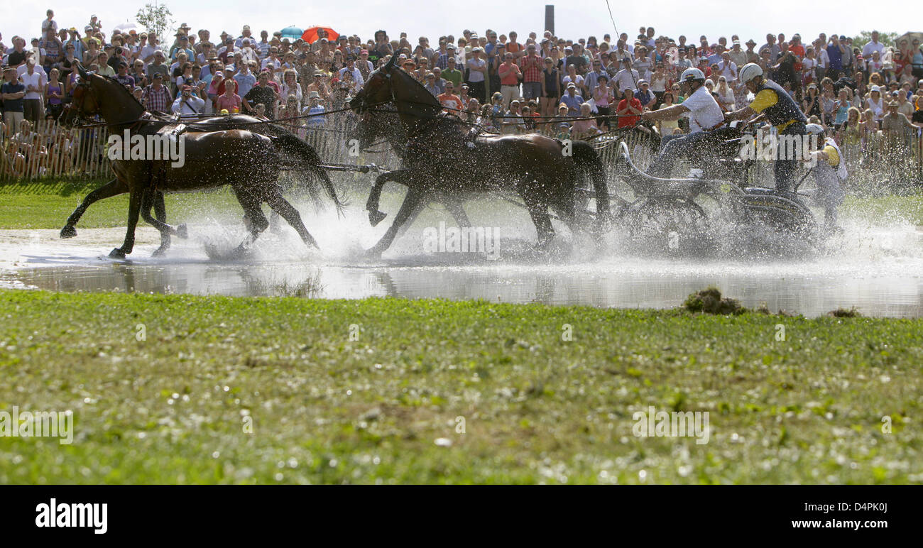 Sports spo equestrian germany hi-res stock photography and images - Alamy