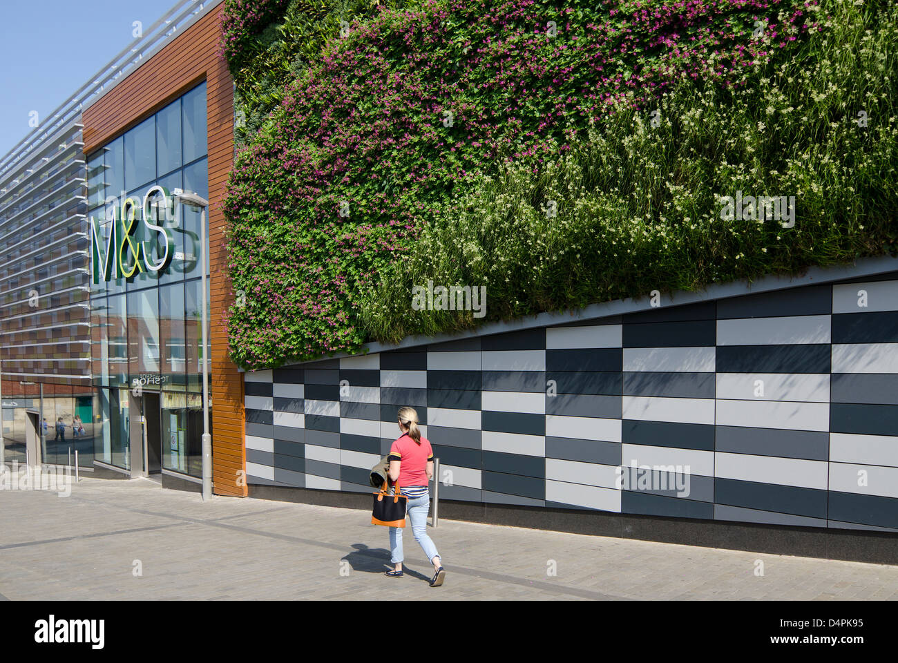 M&S Marks and Spencer Norwich Green living wall Stock Photo