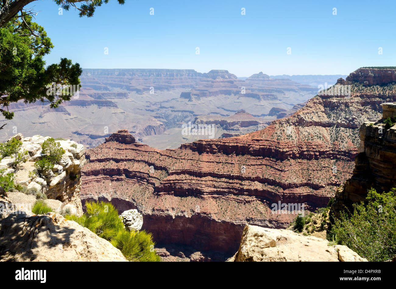 Grand Canyon in Arizona in the United States of America Stock Photo Alamy