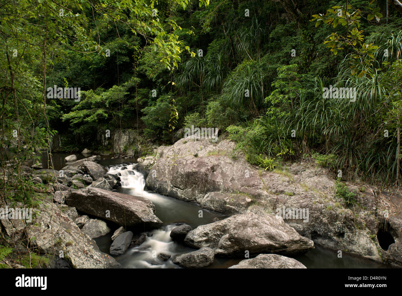 Crystal Cascades, Redlynch Valley, Cairns, North Queensland, Australia Stock Photo
