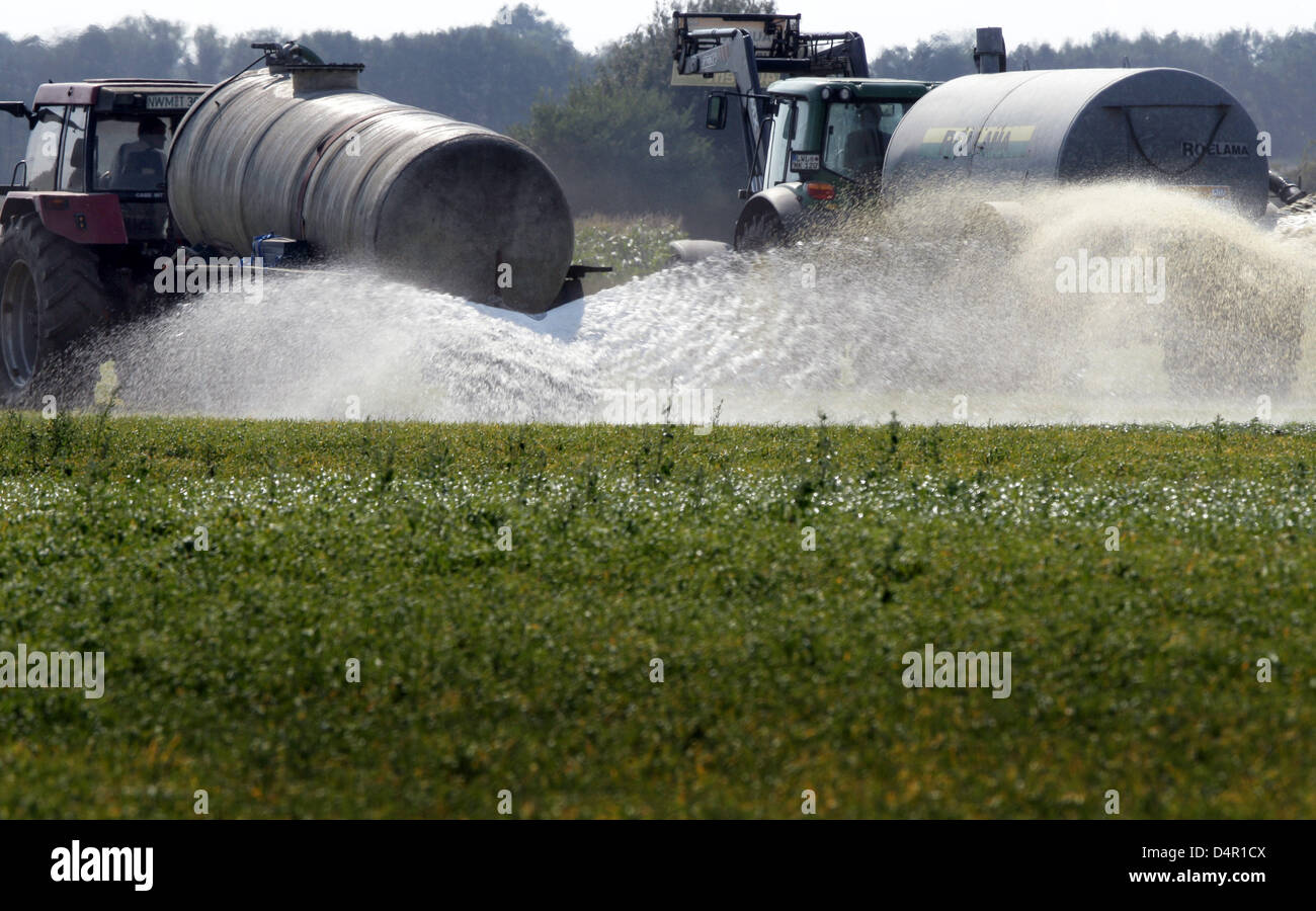 Dairy farmers spill fresh milk on a field in Holthusen, Germany, 16 September 2009. The farmers continue their protests and their boykott of delivery due to low prices which threaten their existence. About 200 000 litres of milk were spilt from slurry tankers. PHOTO: JENS BUETTNER Stock Photo