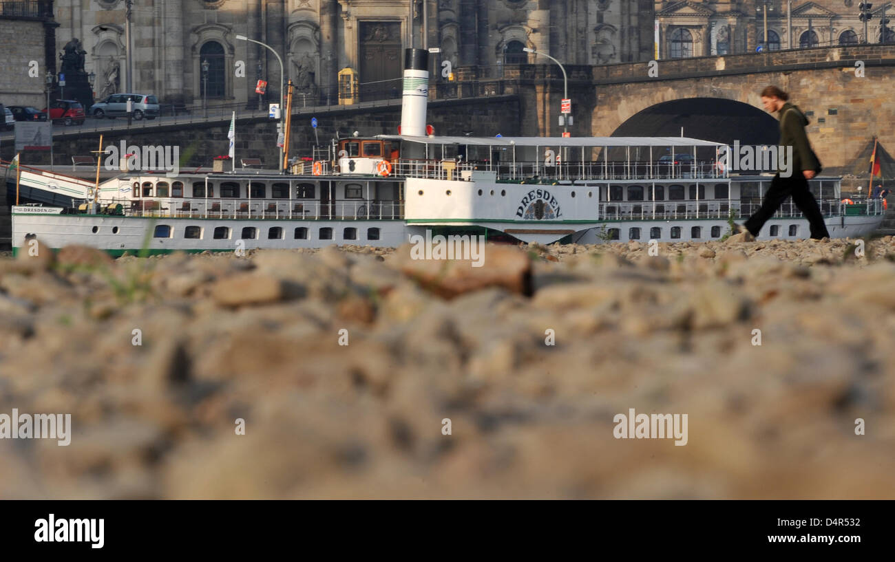 Apparently left stranded lies the steamship ?Dresden? at its anchorage in Dresden, Germany, 28 September 2009. The Saxon steam navigation company shut down the city tours in Dresden due to a low tide of about 62 cm. PHOTO: RALF HIRSCHBERGER Stock Photo