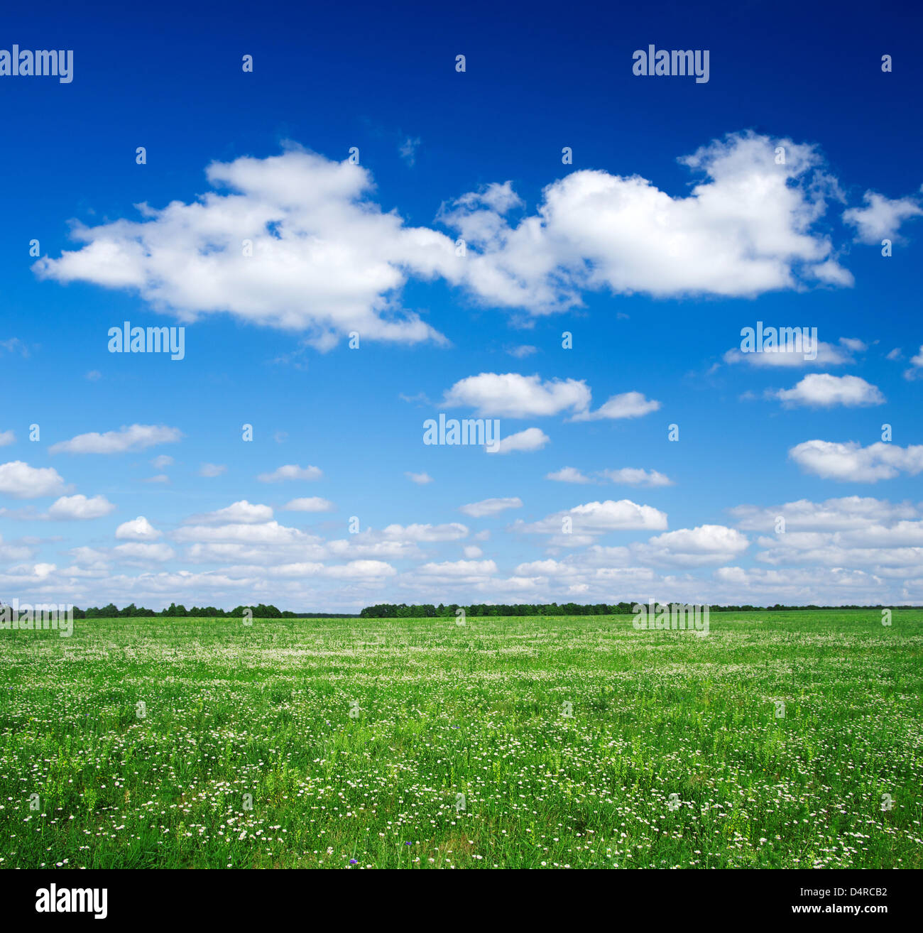 green field and blue sky Stock Photo - Alamy