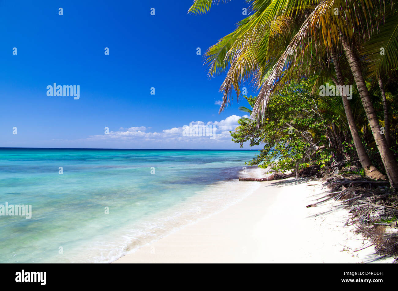 Tropical beach beautiful hi-res stock photography and images - Alamy
