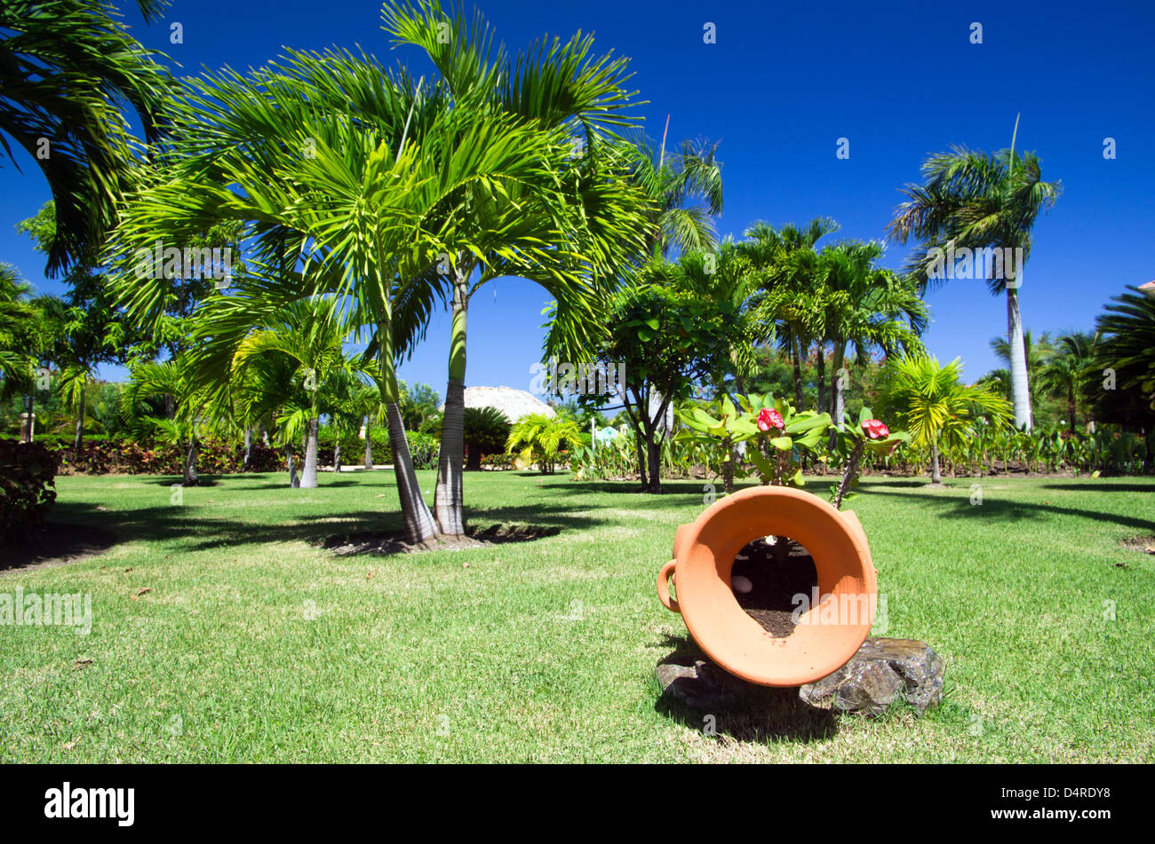 Garden stone path with grass Stock Photo