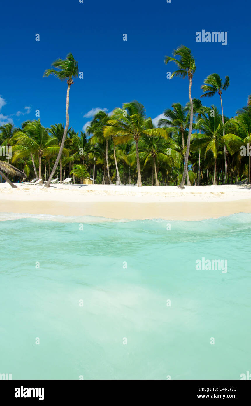 Hot tropical beach hi-res stock photography and images - Alamy