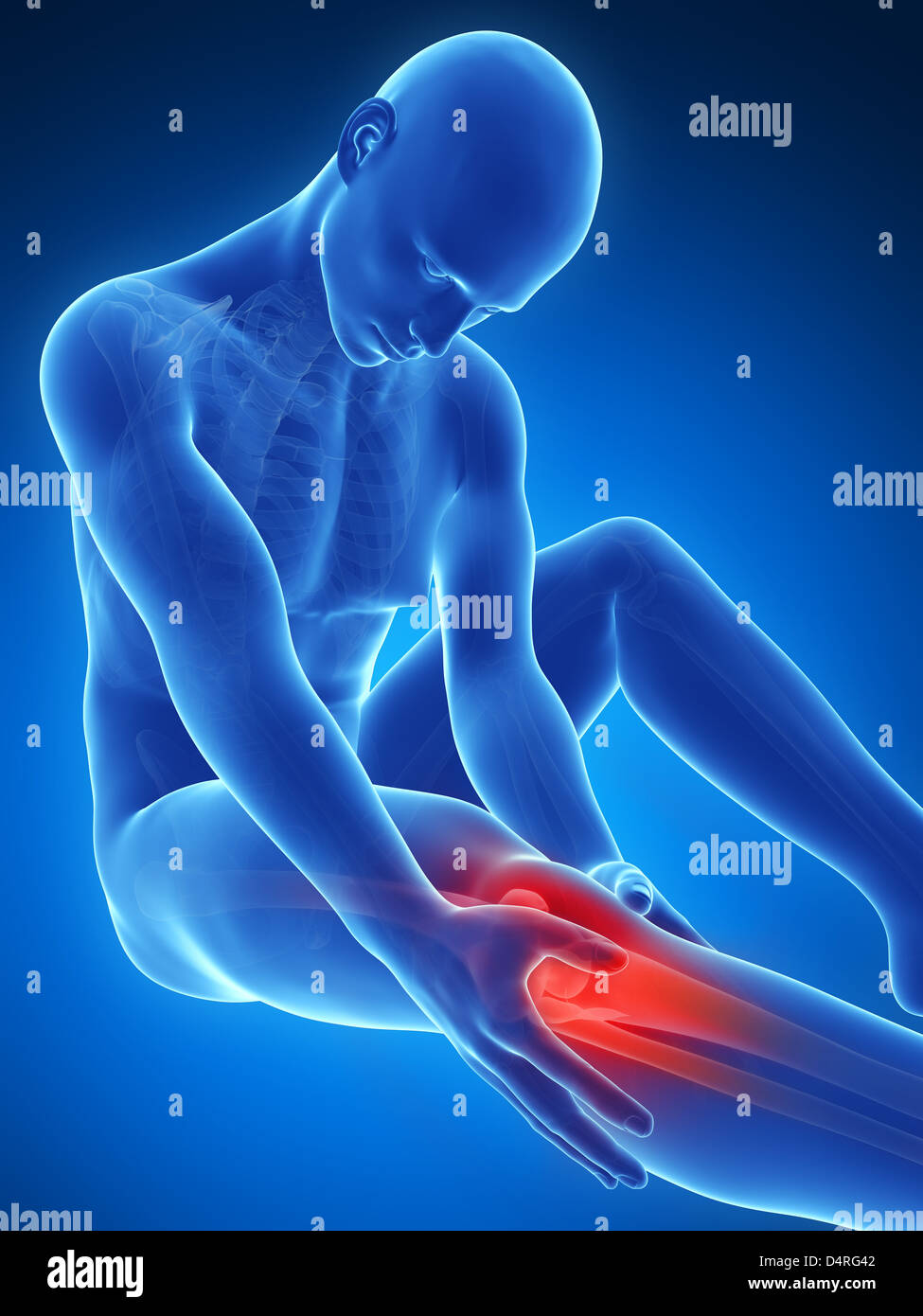 Highlighted knee joint Stock Photo