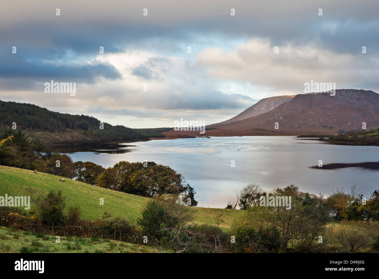 Early morning in autumn on the north-western arm of Lough Corrib, near Doon Rocks, Co Galway, Ireland Stock Photo