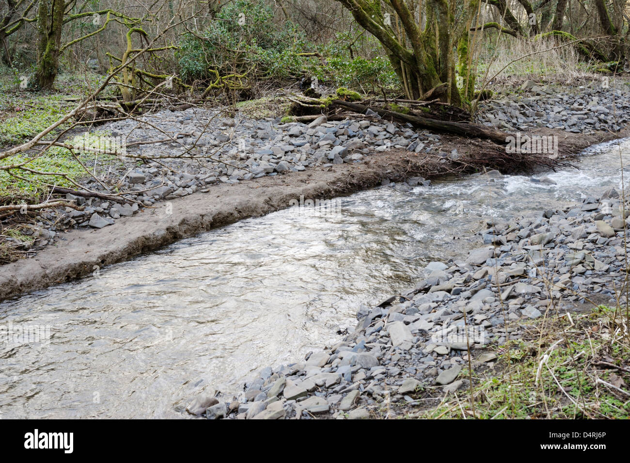 The River Wyre cuts a new course through recent flood deposits overlying an historical clay layer, Wales. Stock Photo