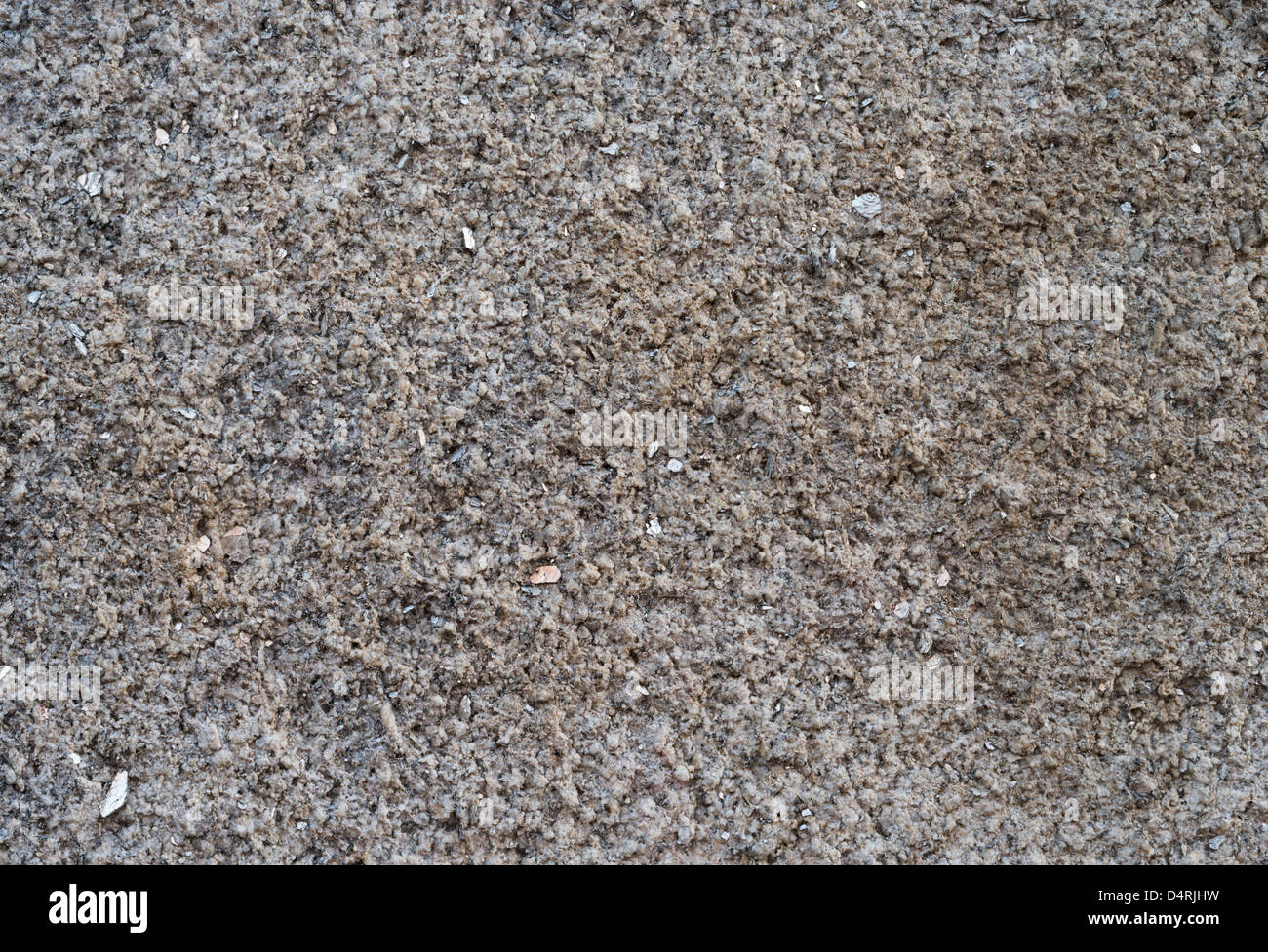 Leinster granite building stone near Dublin Castle, Dublin, Ireland. The shiny platy crystals are muscovite mica. Stock Photo
