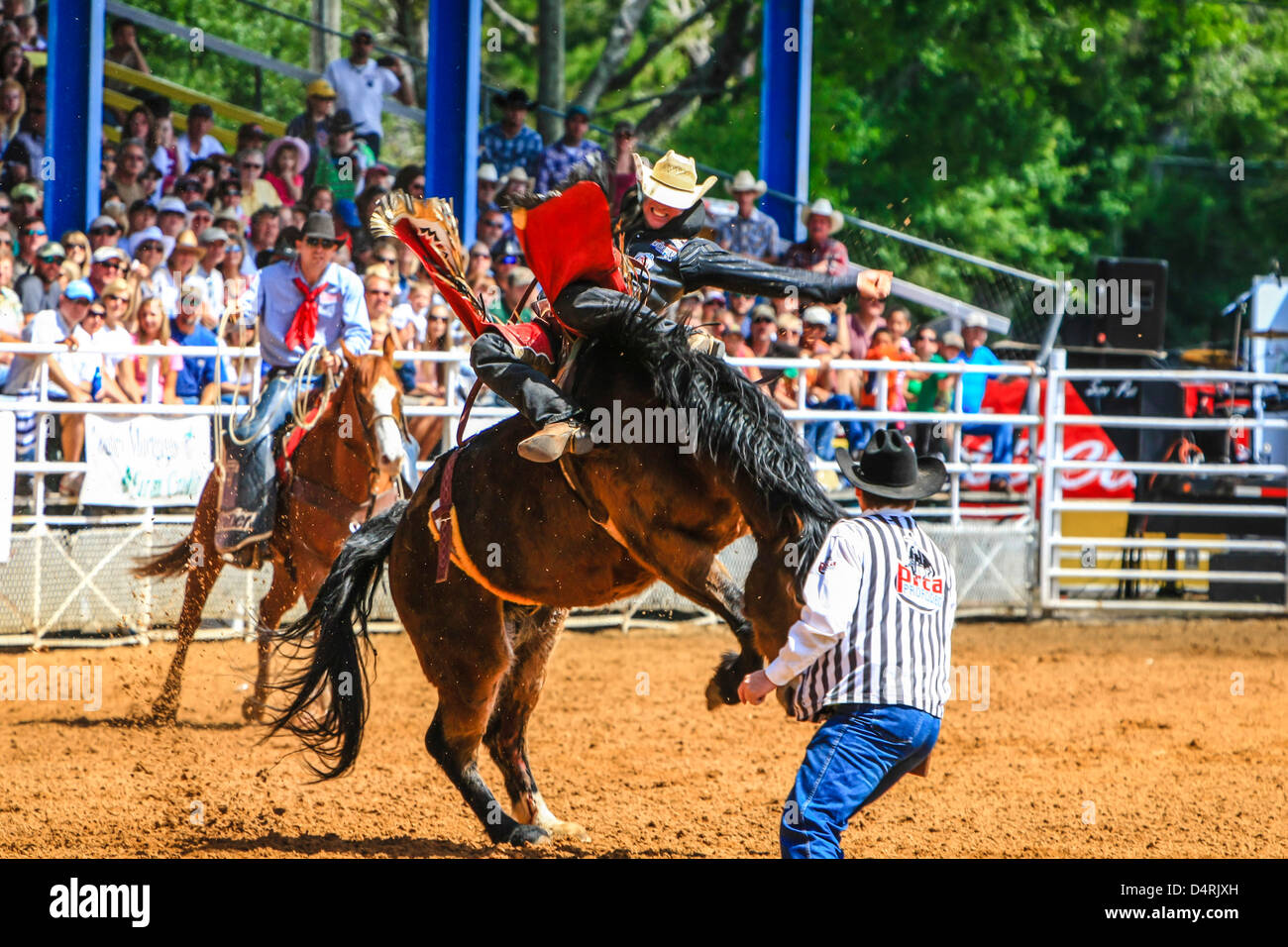 Bucking bronco riding event at the Florida State 85th Rodeo ...