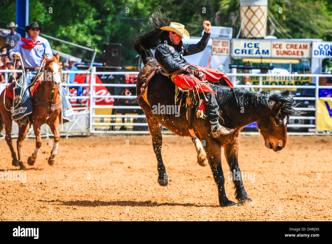 Bucking bronco riding event at the Florida State 85th Rodeo ...