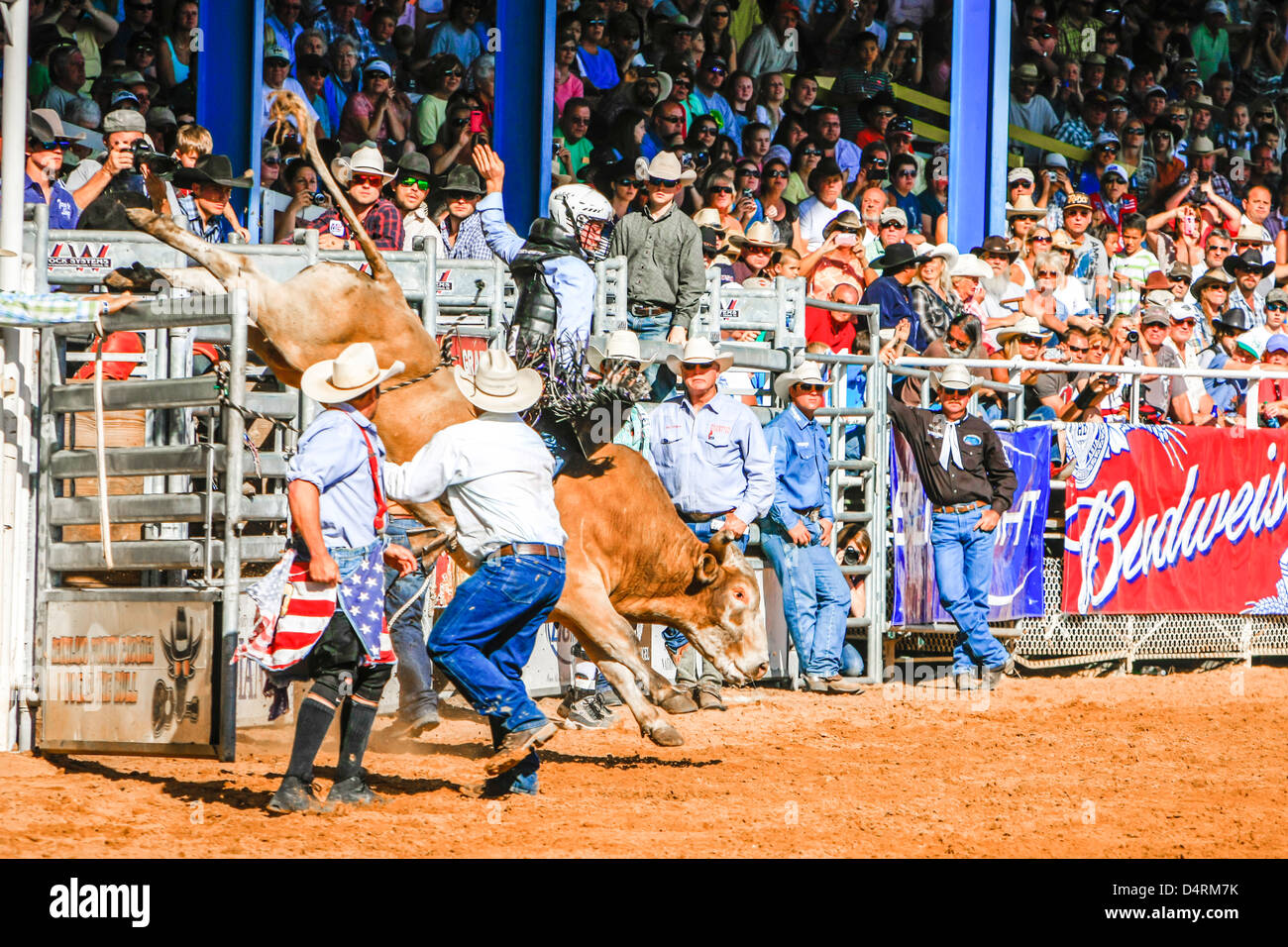 Arcadia rodeo hi-res stock photography and images - Alamy