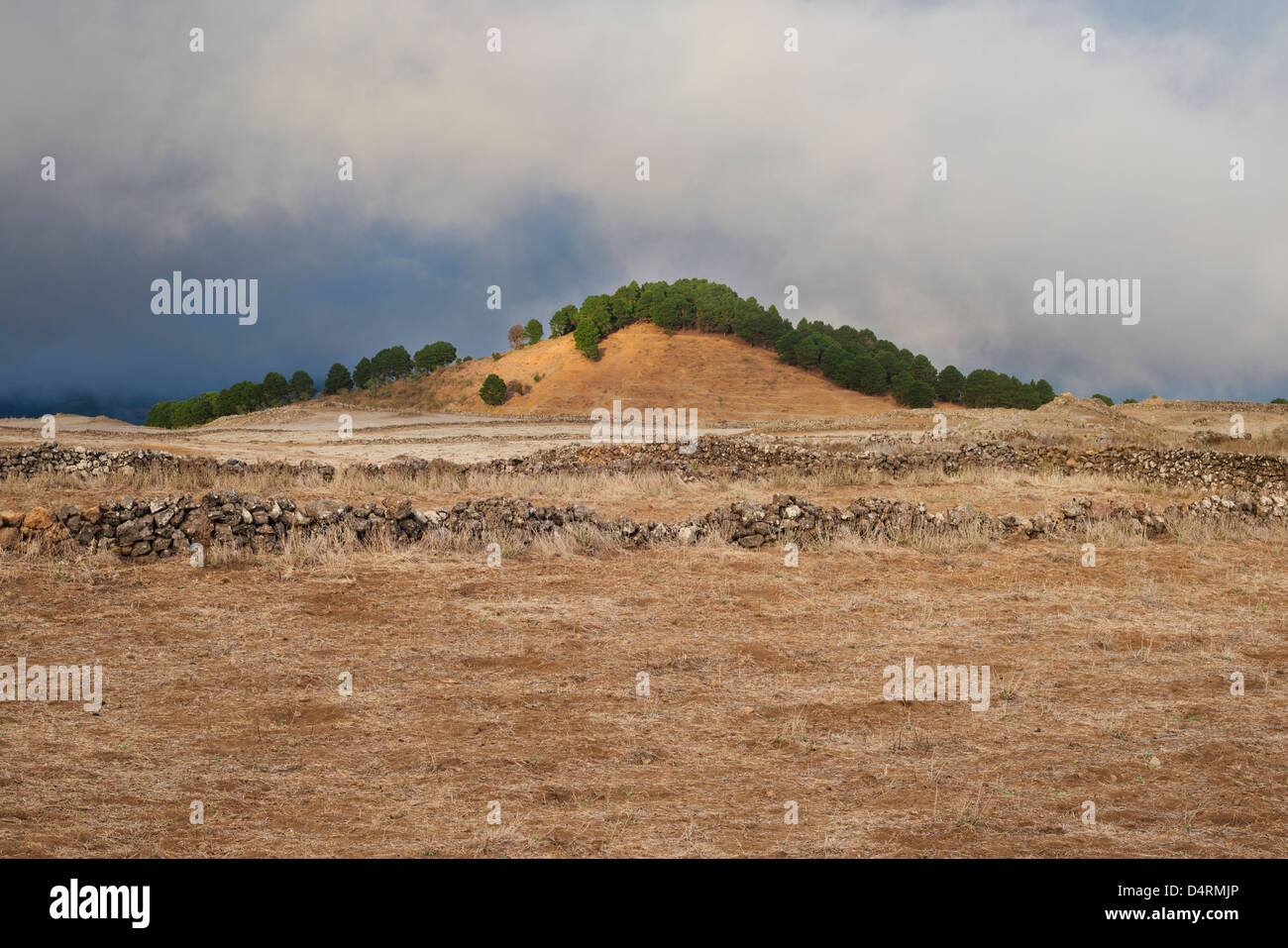Dry farmland and extinct volcanic cone fringed by Canarian pine trees, Meseta de Nisdafe, El Hierro, Canary Islands, Spain Stock Photo