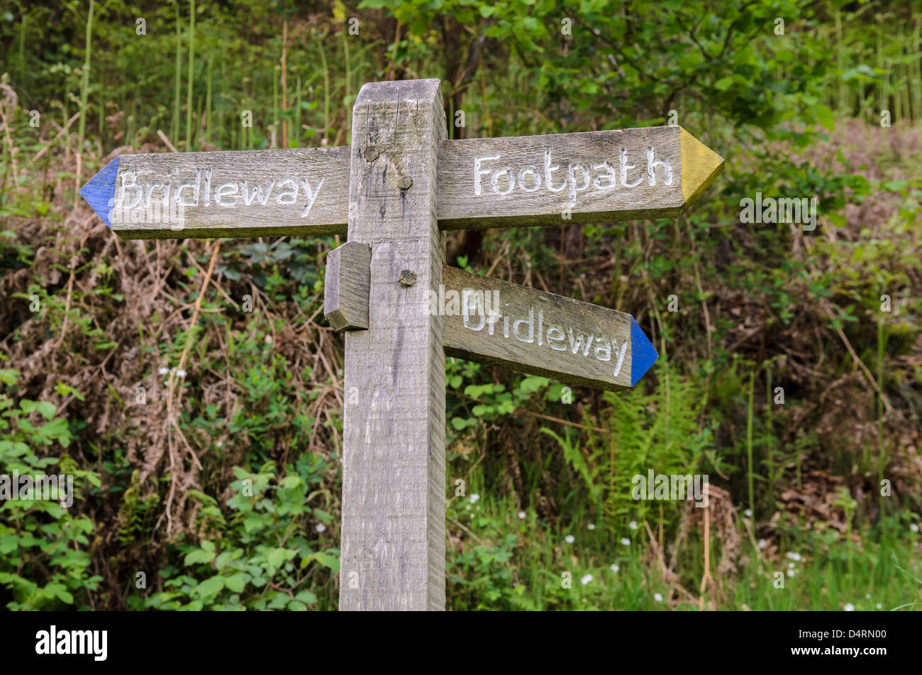 Signpost in Barton Wood, near Rockford, Exmoor, Devon, England Stock ...
