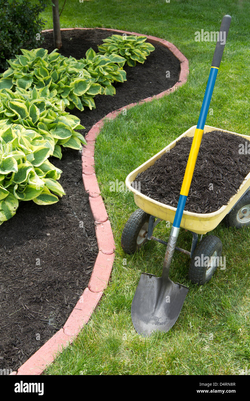 Mulch bed around the house and wheelbarrow along with a shovel. Stock Photo