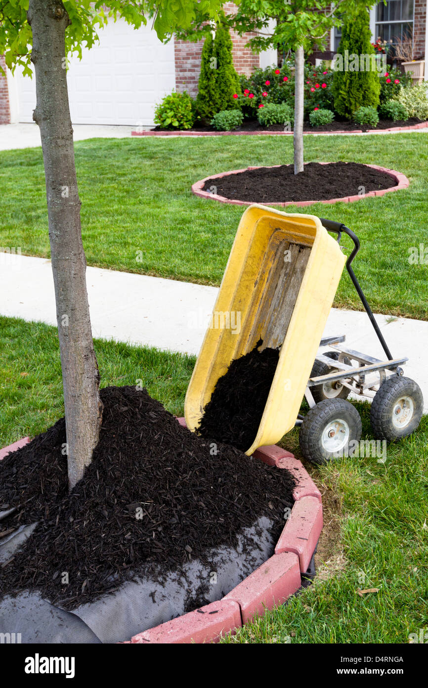 Neighborhood beautification starts with a mulching operation around the