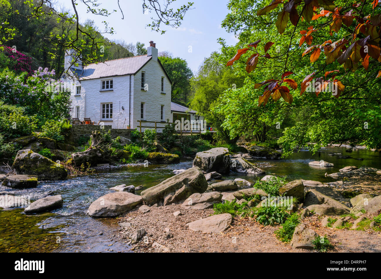 Cottage beside the East Lyn River at Rockford in Exmoor during spring