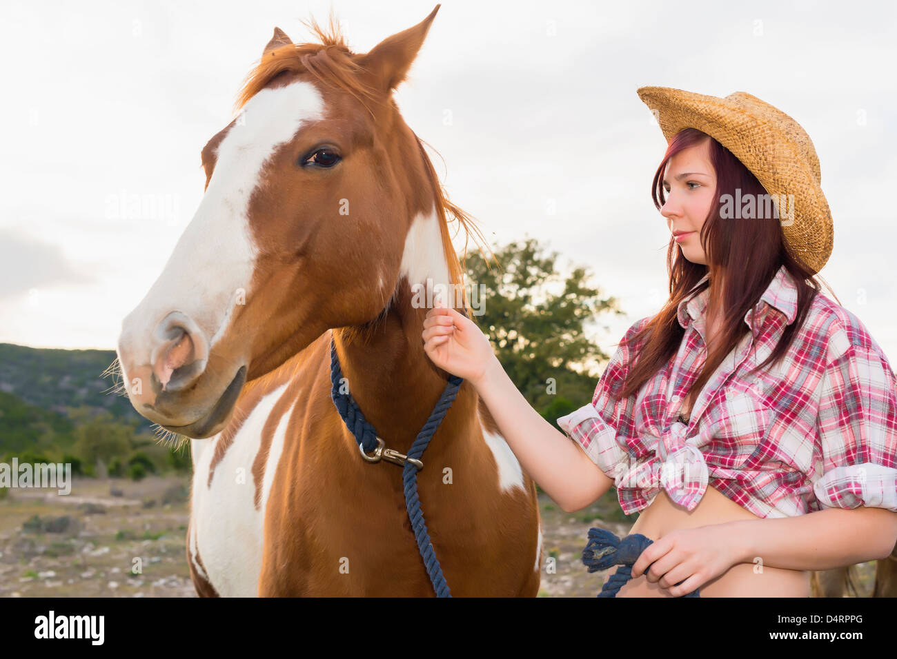 Female teenager petting a horse, Female 19 Caucasian Stock Photo