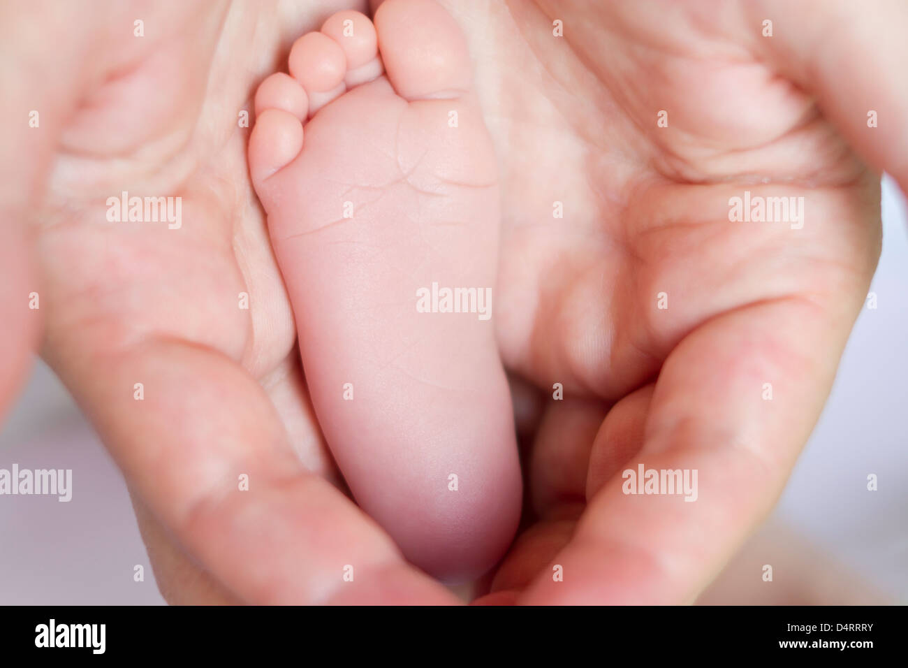 8 days old girl's feet in her mother's hands, very tiny toes with shallow depth of field. Horizontal. Stock Photo
