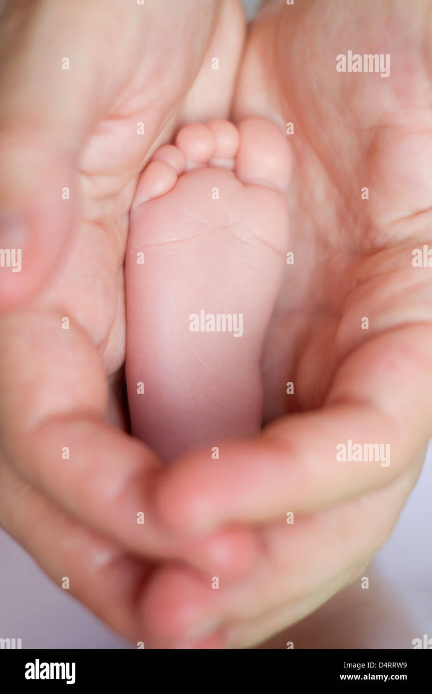 8 days old girl's feet in her mother's hands, very tiny toes with shallow depth of field. Vertical. Stock Photo