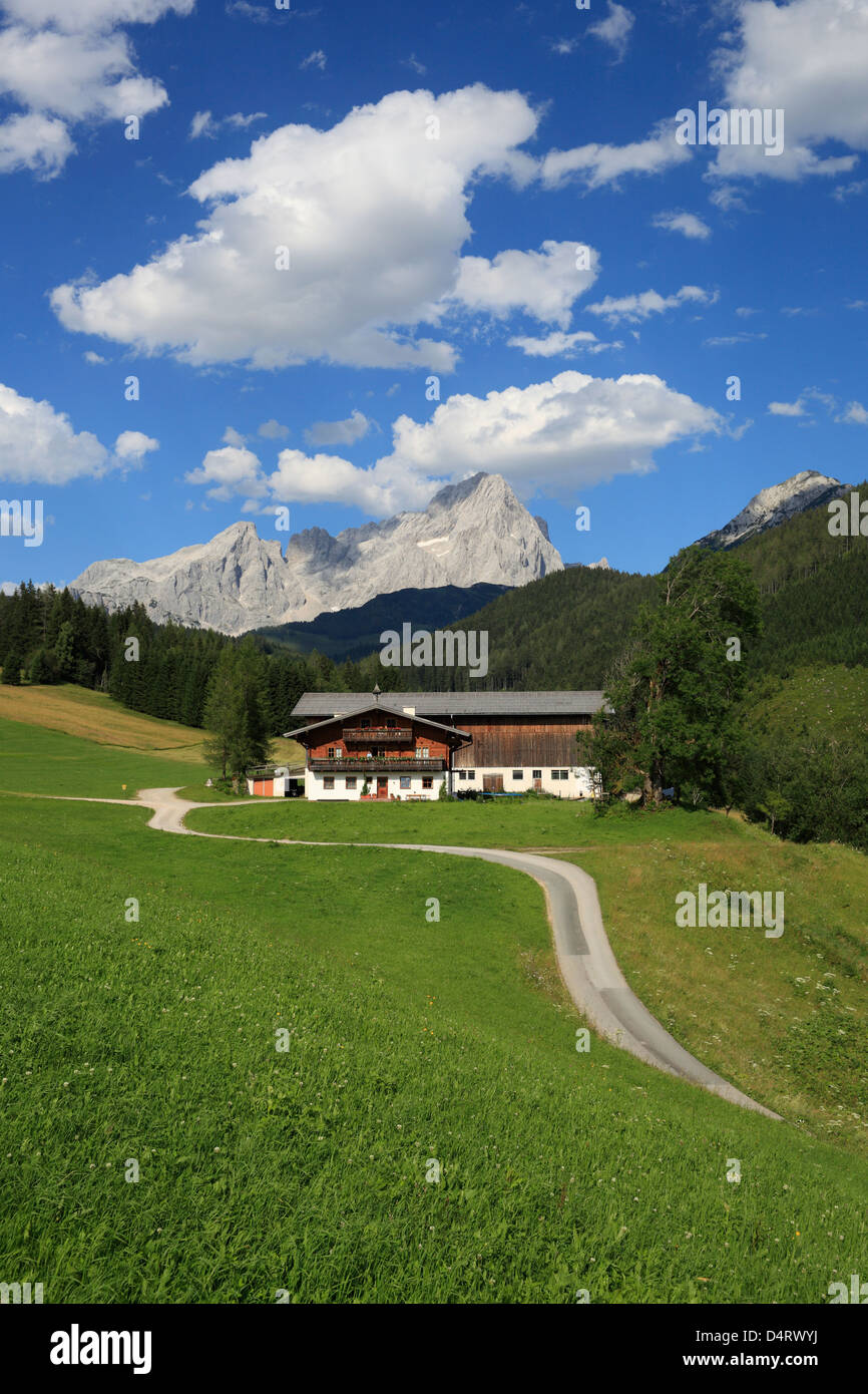 Filzmoos, Austria, farm in the Dachstein mountains in Salzburg Stock