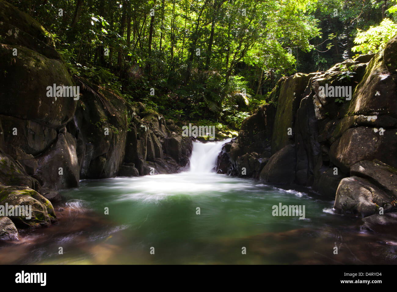 Chaudier Pool, Dominica Stock Photo