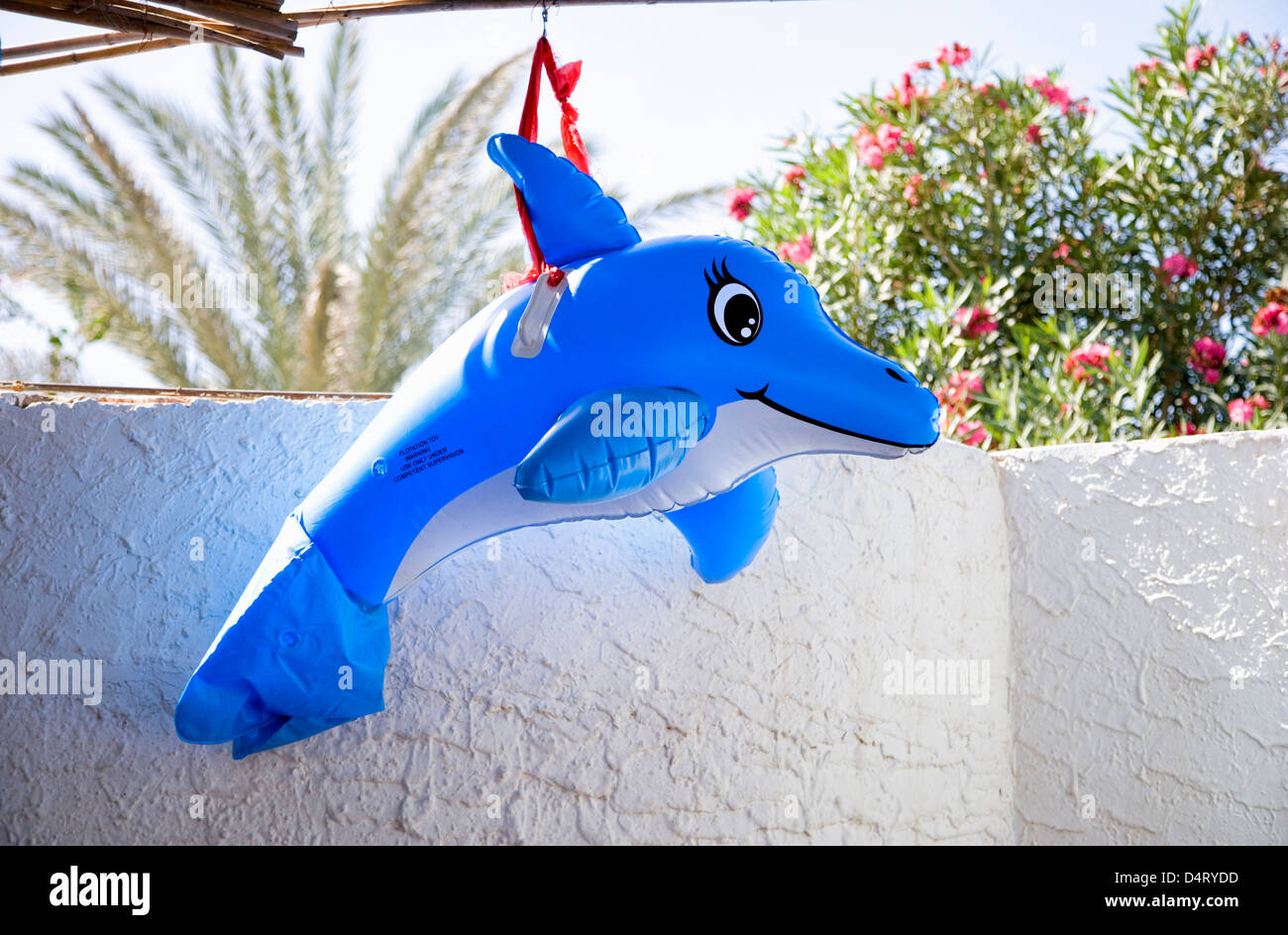 blow up dolphin toys
