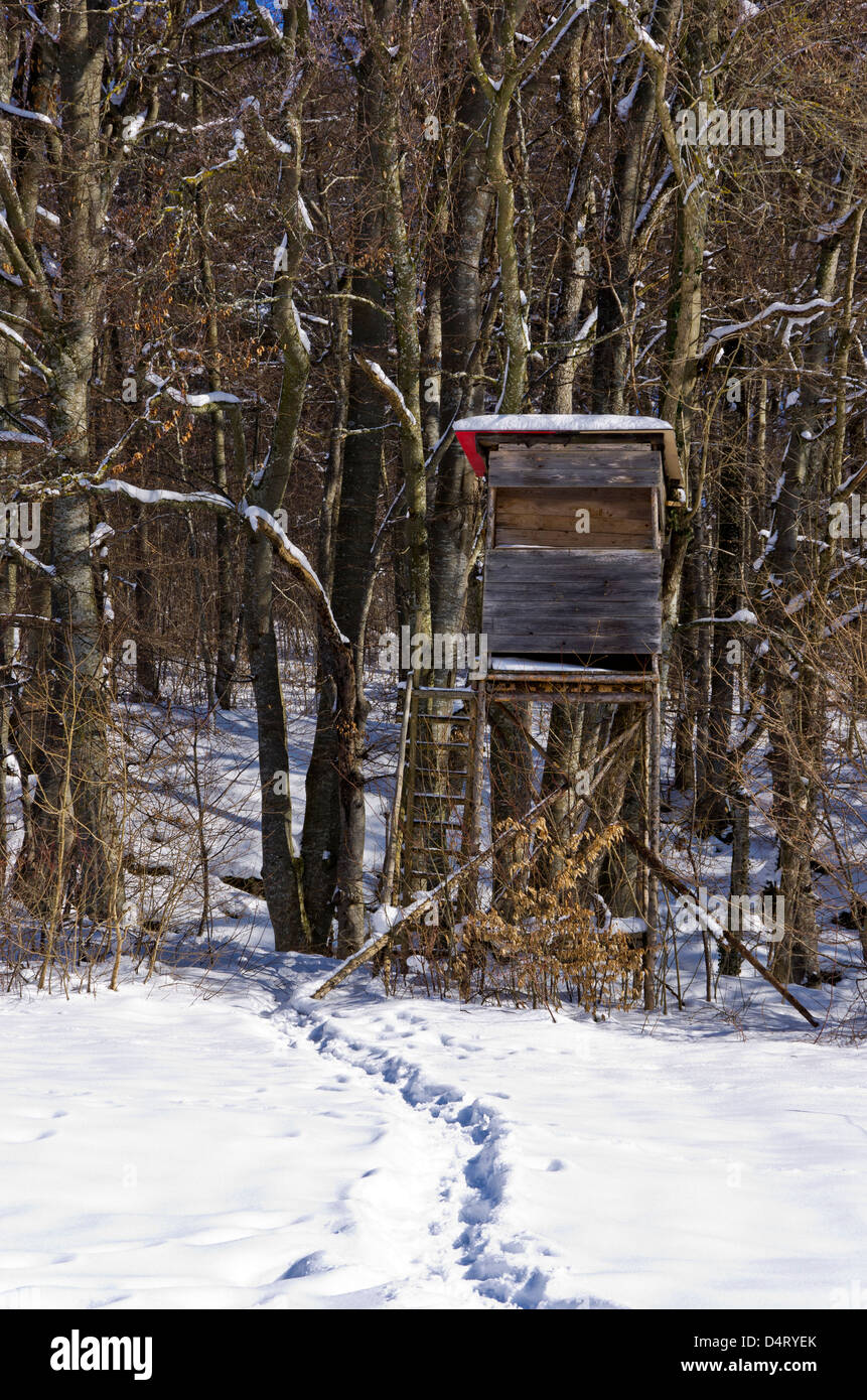 Raised Hide At The Edge Of The Wood. Stock Photo
