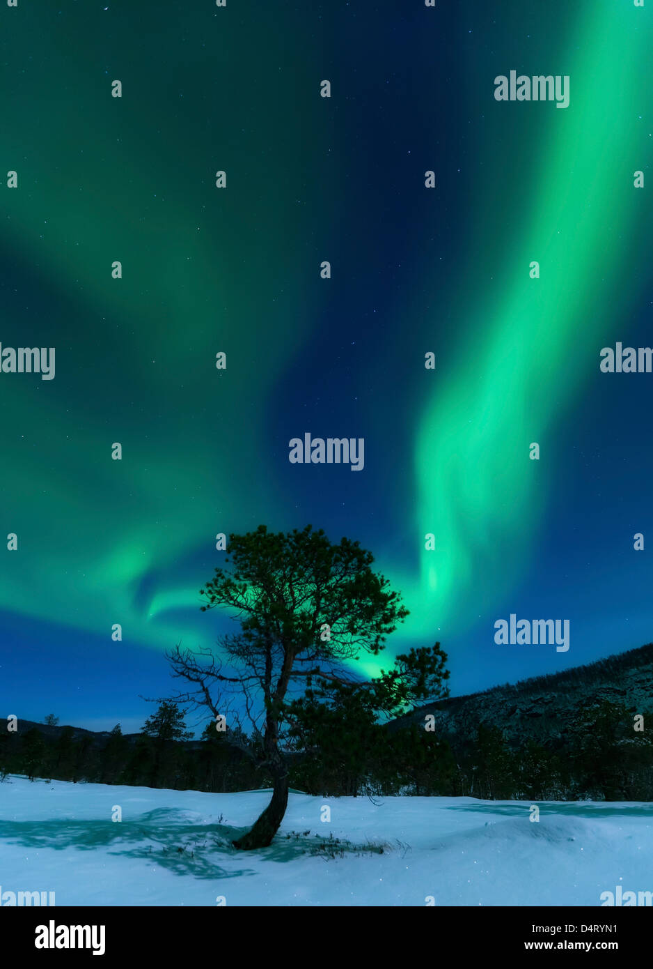Aurora Borealis, Forramarka, Troms, Norway. Stock Photo