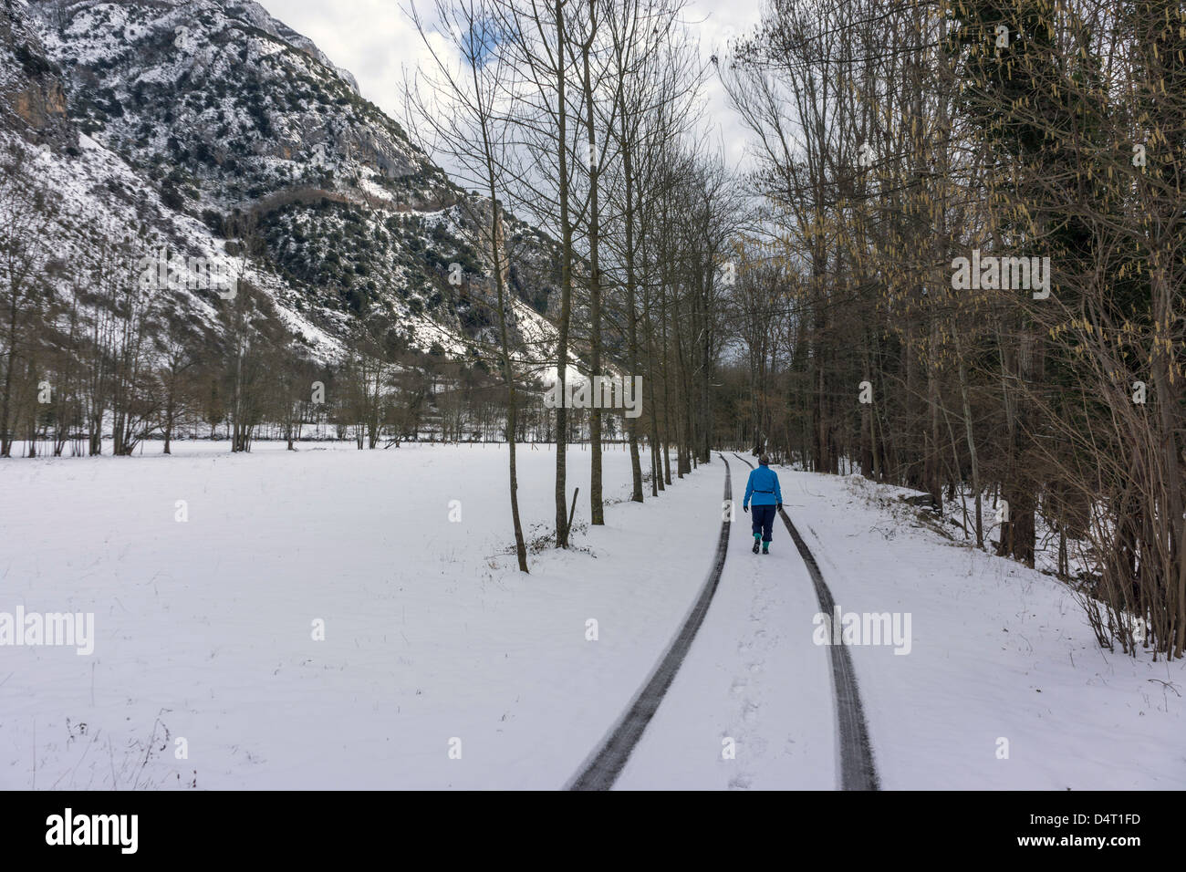 Solitary female walker in winter snow, tracks in the snow, trail, cold Stock Photo