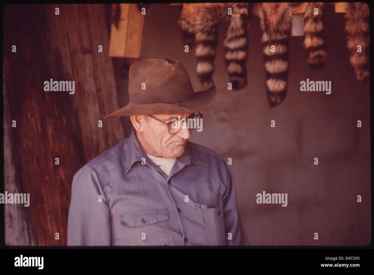 Raccoon Tails Hang from the Ceiling of a Fur Buyer's Shop in Leakey
