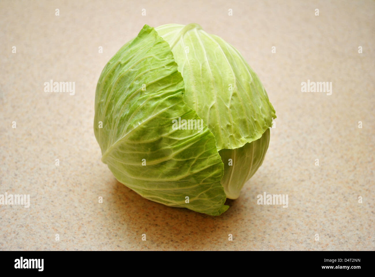 A Head of Green Cabbage Stock Photo