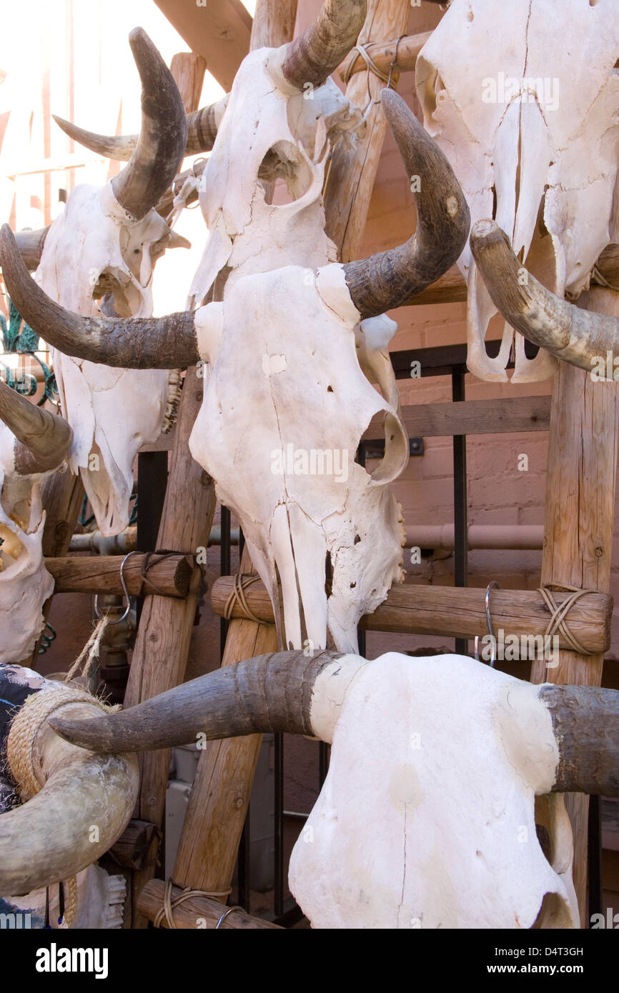 Santa Fe cattle skulls for sale Stock Photo Alamy