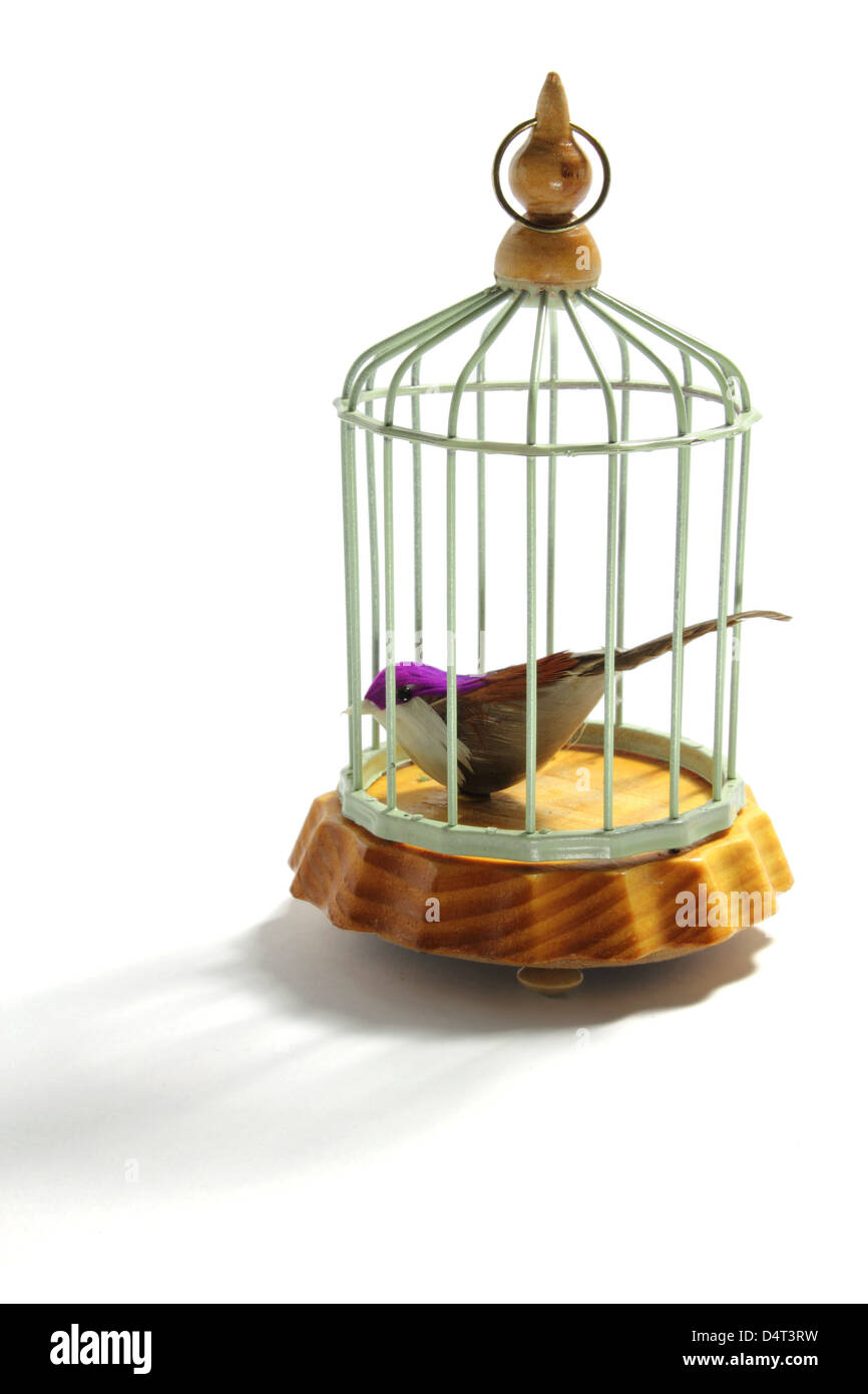Bird Cage Stock Photo