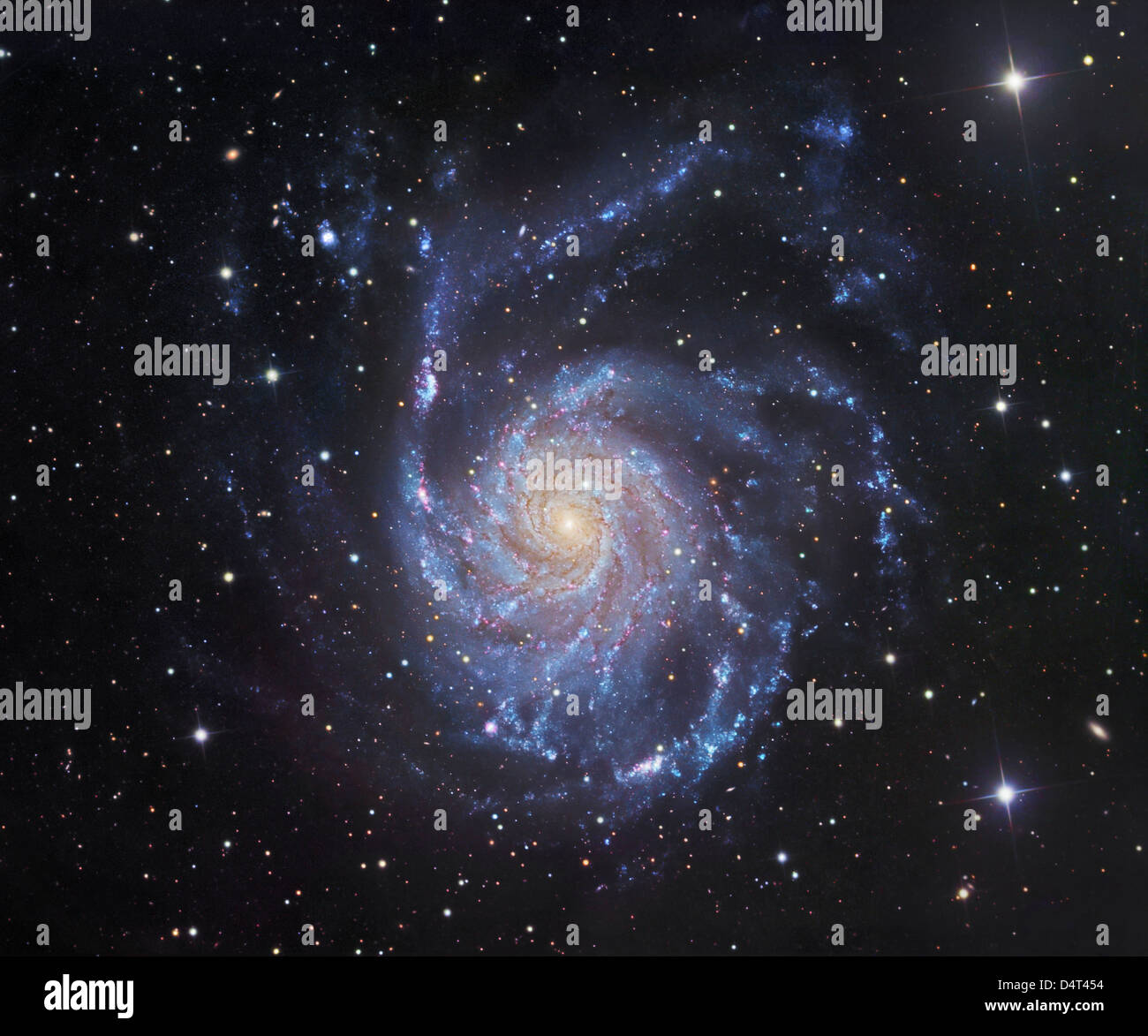 M101, The Pinwheel Galaxy in Ursa Major Stock Photo