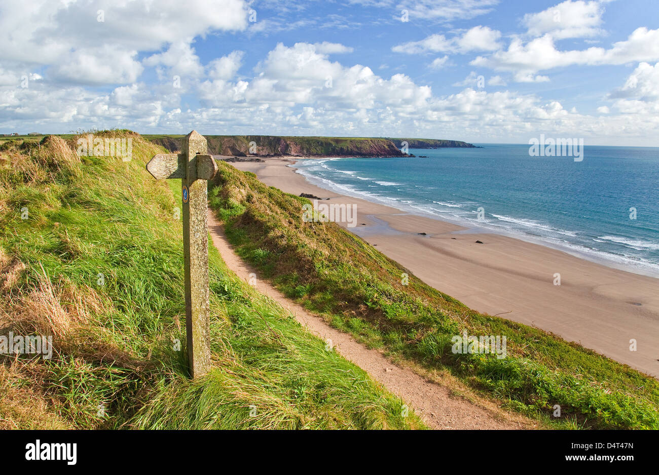 pembrokeshire coastal path at marloes sands pembrokeshire coast national park wales in late summer Stock Photo