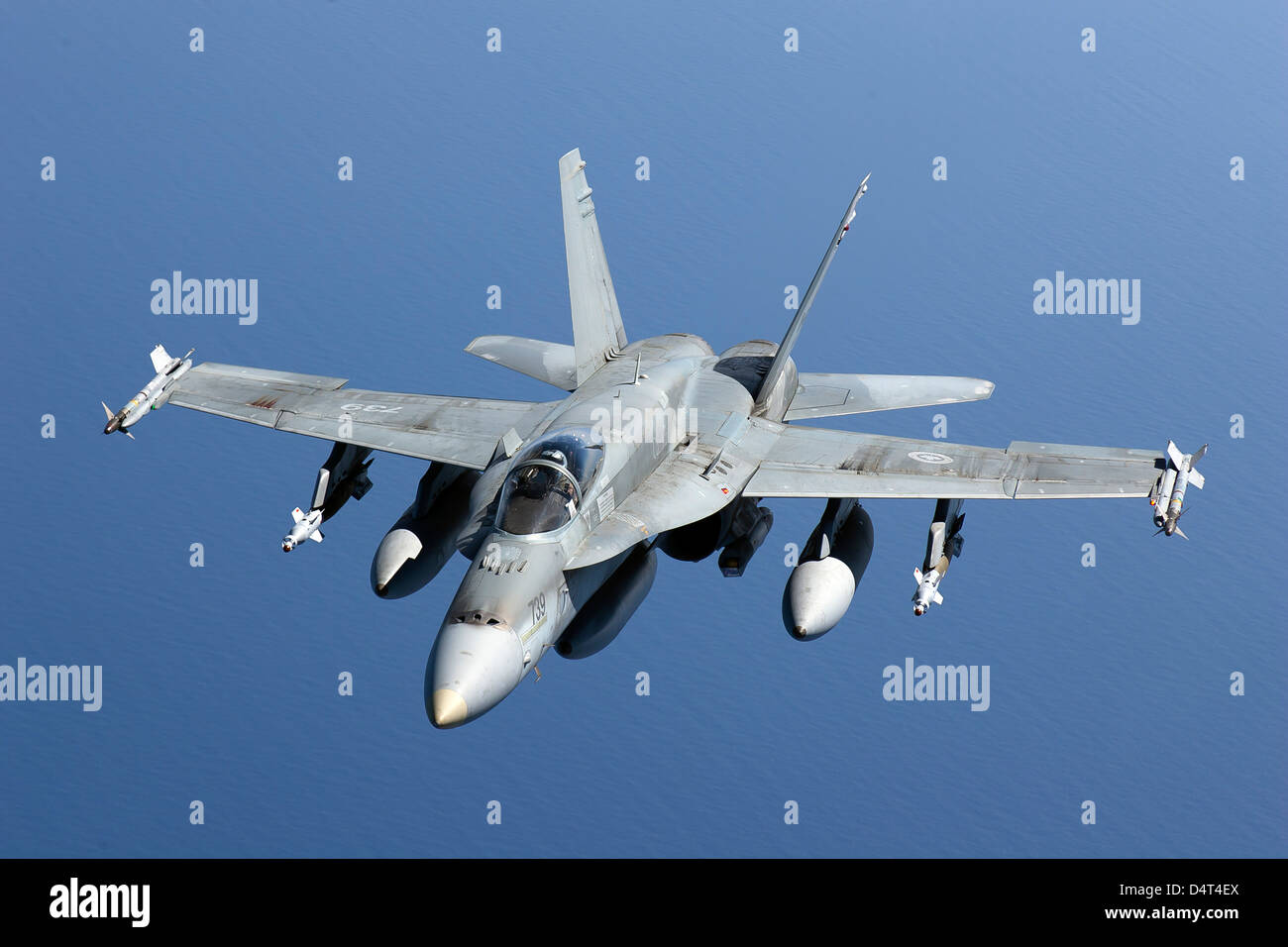 A CF-188A Hornet of the Royal Canadian Air Force. Stock Photo