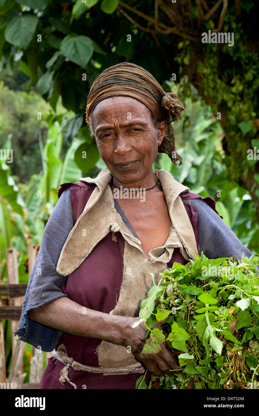 Dorze in the Guge Mountains, Ethiopia Stock Photo