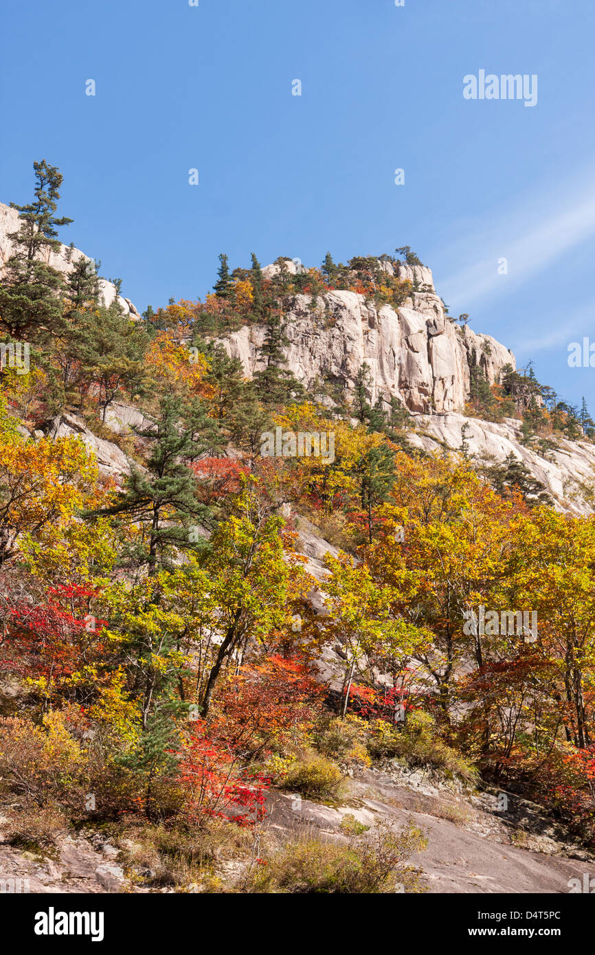 Cheonbuldong Valley cliffs and Fall colors, Seoraksan National Park, South Korea Stock Photo