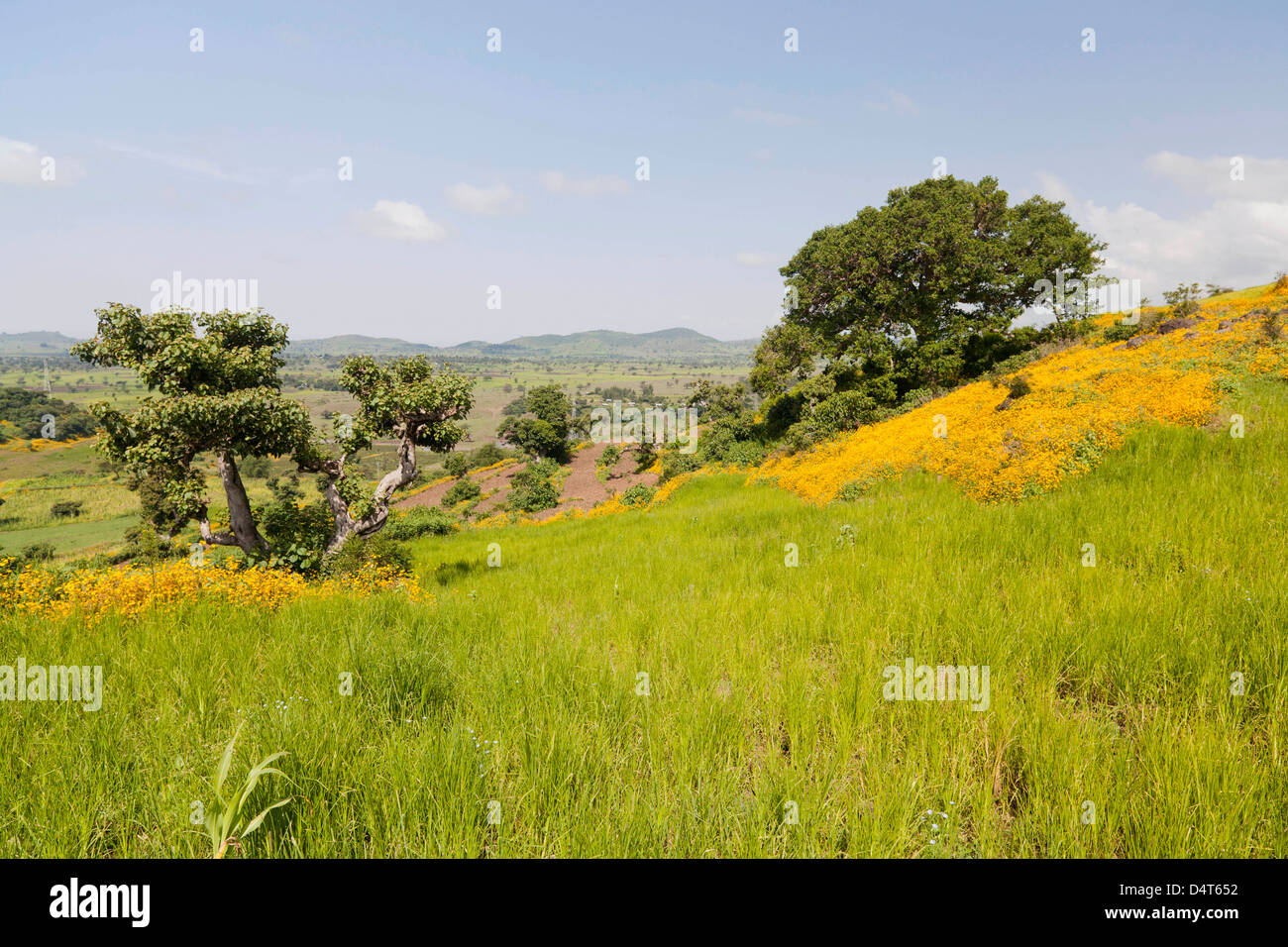 Landscape between Gonder and Lake Tana in Ethiopia Stock Photo