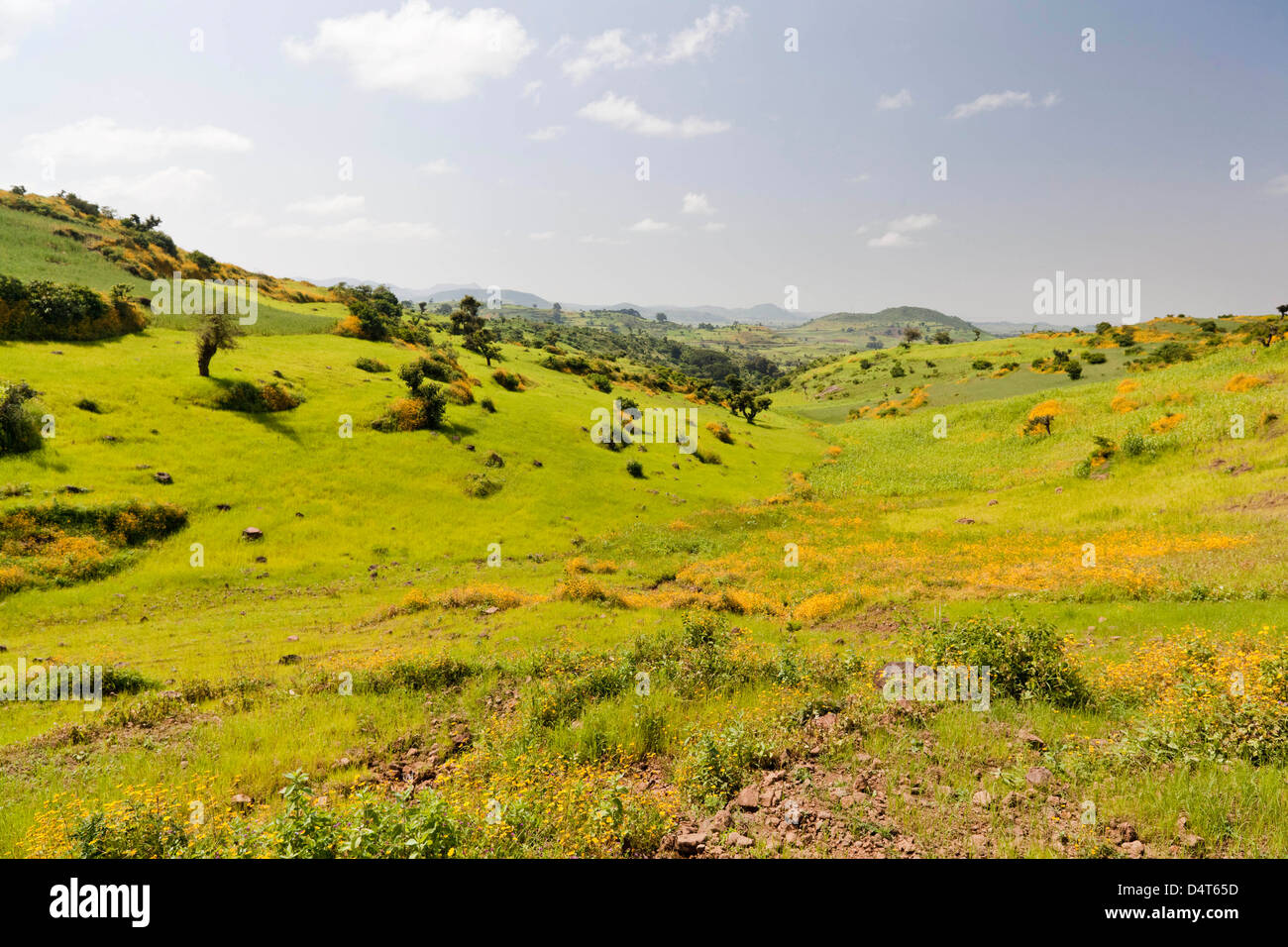 Landscape between Gonder and Lake Tana, Ethiopia Stock Photo