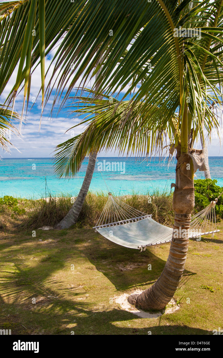 Hammock between two palm trees hi-res stock photography and images - Alamy