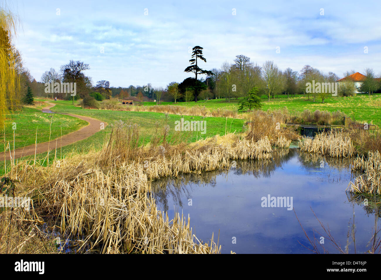 english countryside scene on a cold winter day Stock Photo