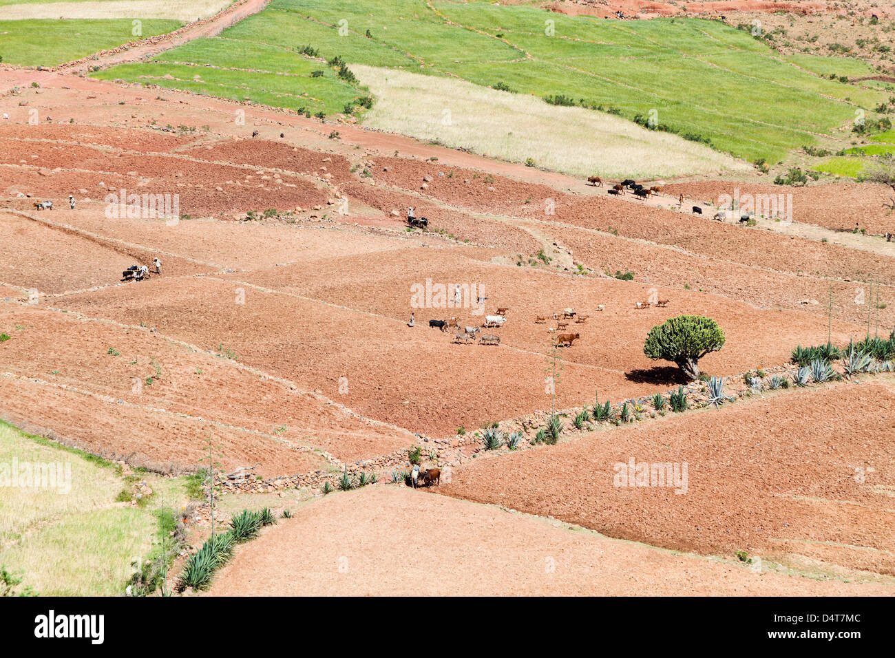 Landscape in Tigray, Northern Ethiopia Stock Photo