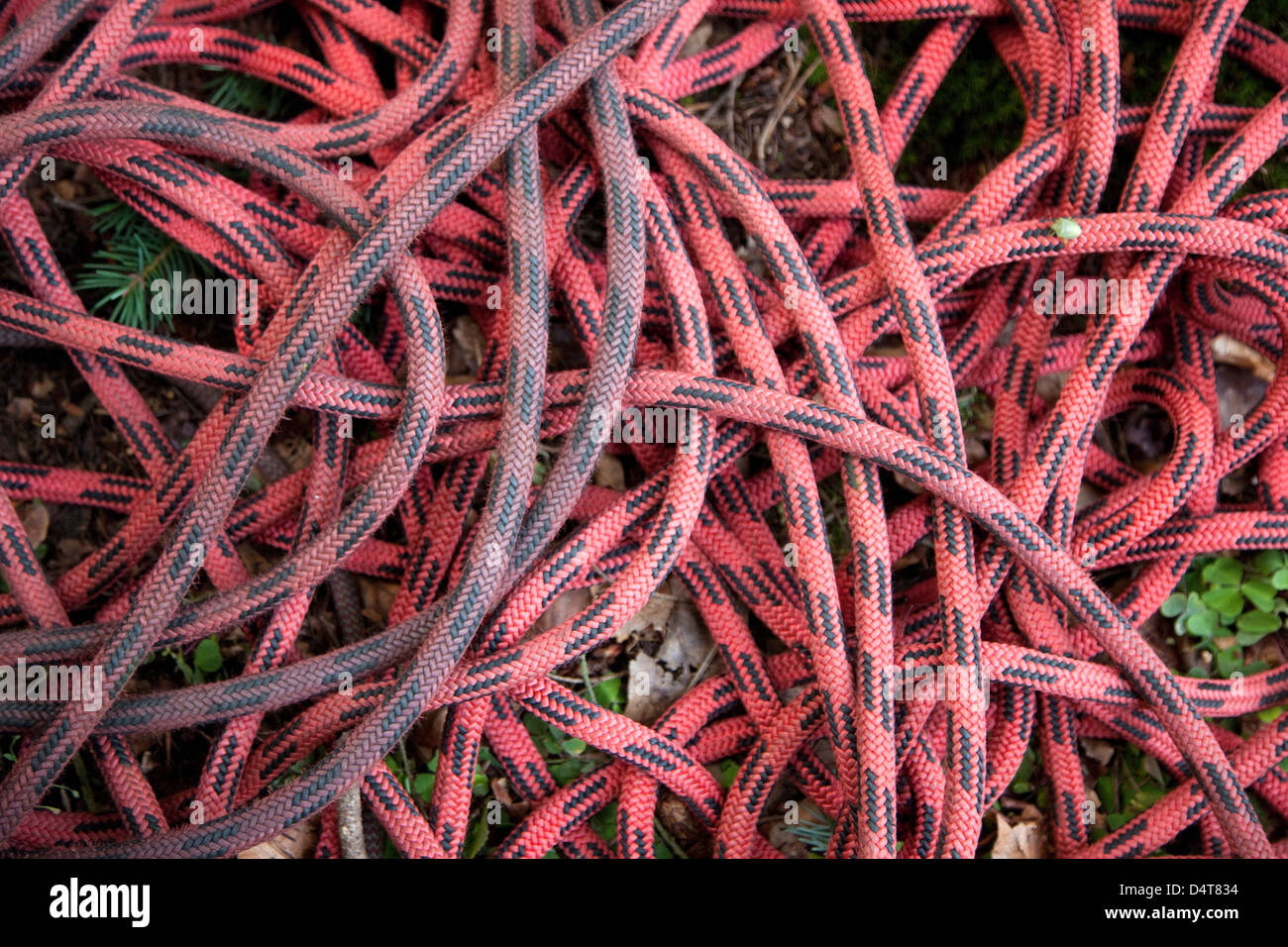 Pforzheim, Germany, Detail of climbing ropes Stock Photo
